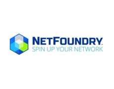 SD_partnershipLogo_NetFoundry-min
